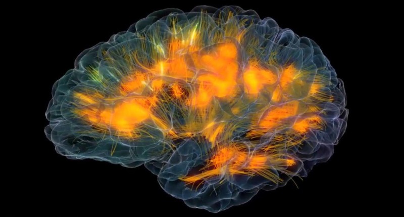 کنترل ذهن , تکنیک 20 روزه متد سیلوا روز چهارم